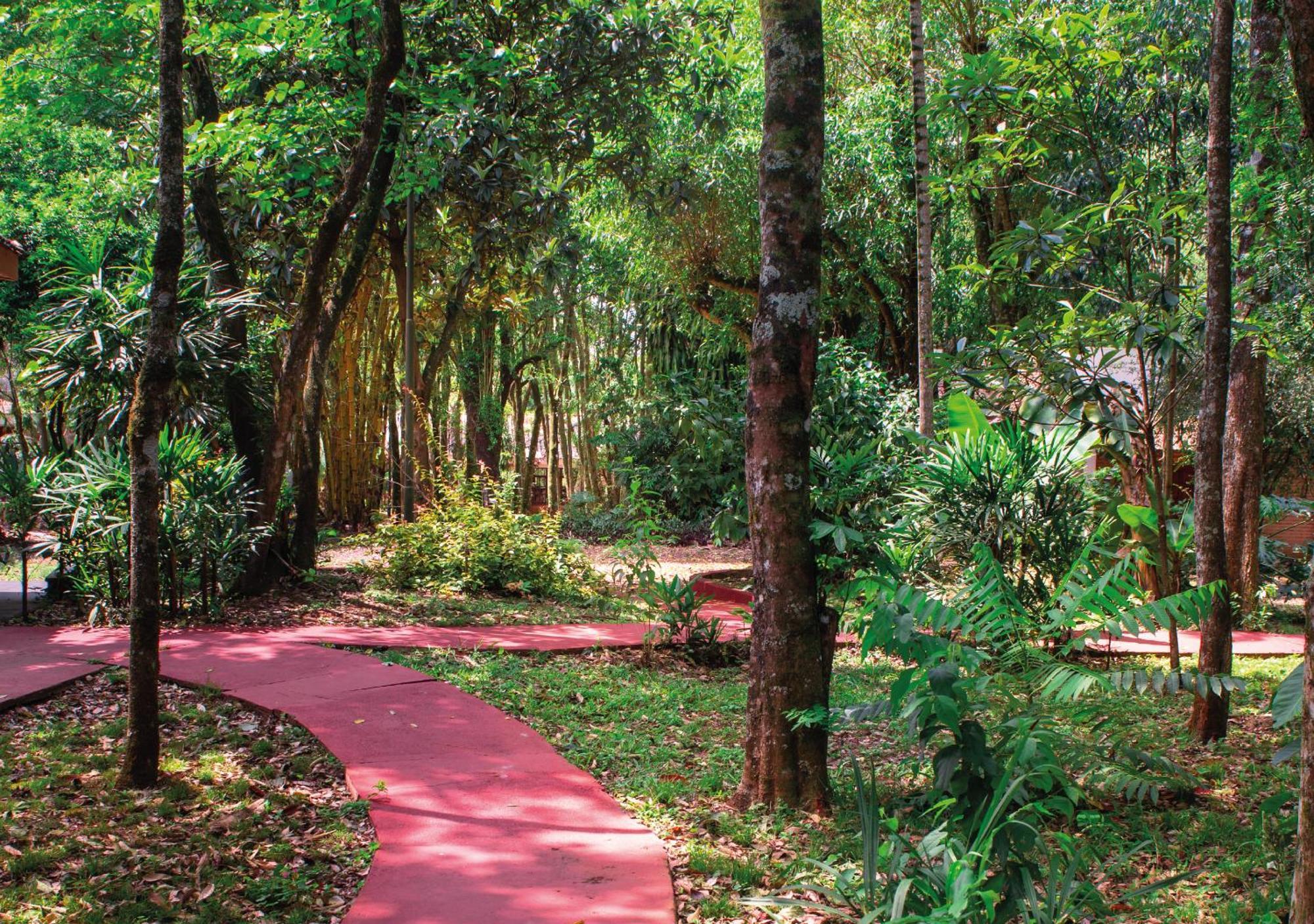 El Lenador By Dot Cabana Puerto Iguazú Exteriör bild